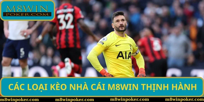 Các loại kèo nhà cái phổ biến tại M8WIN