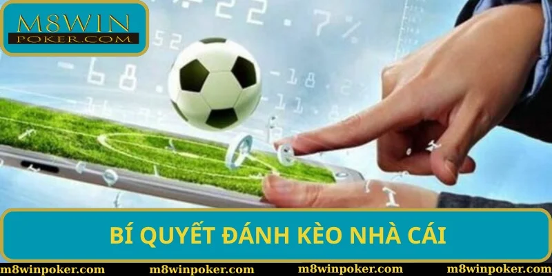 Một số hướng dẫn kèo nhà cái M8WIN cho hội viên